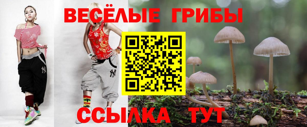 Псилоцибиновые грибы Magic Shrooms  Псилоцибиновые грибы Magic Shrooms  Вход с VPN  Сергиев Посад 